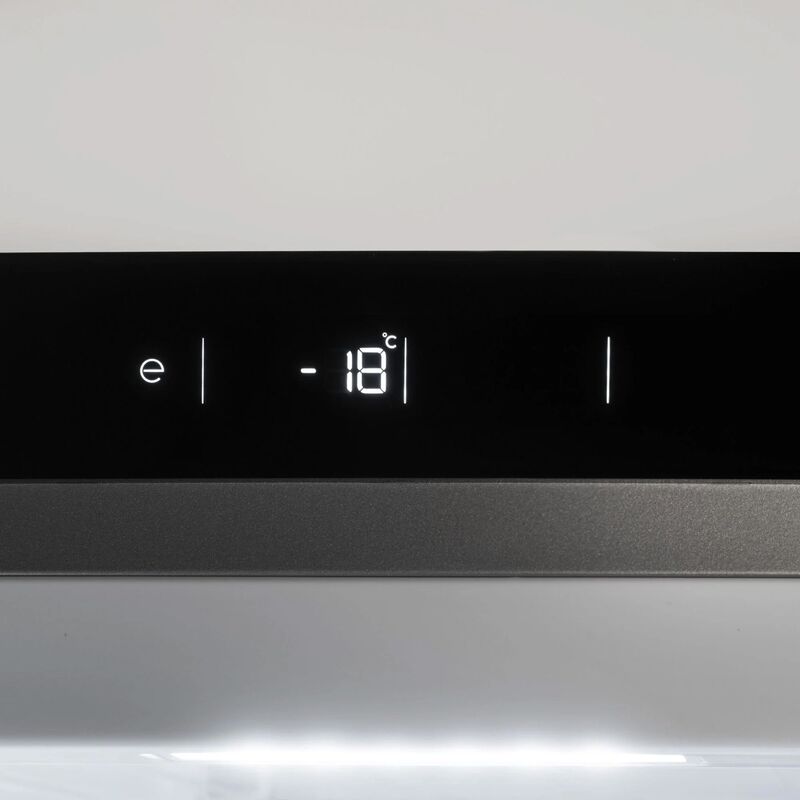 RFZ60F4FXNCP + RLD60F4FXNCP Professionell kyl och frys 186 cm