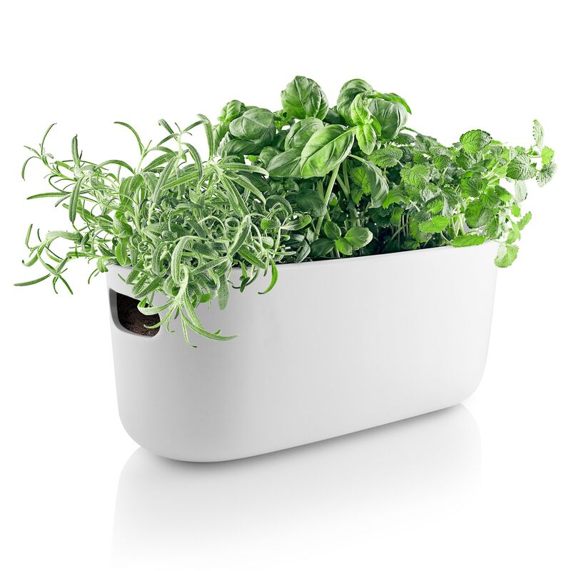 Selvvannende Herb Organiser Hvit