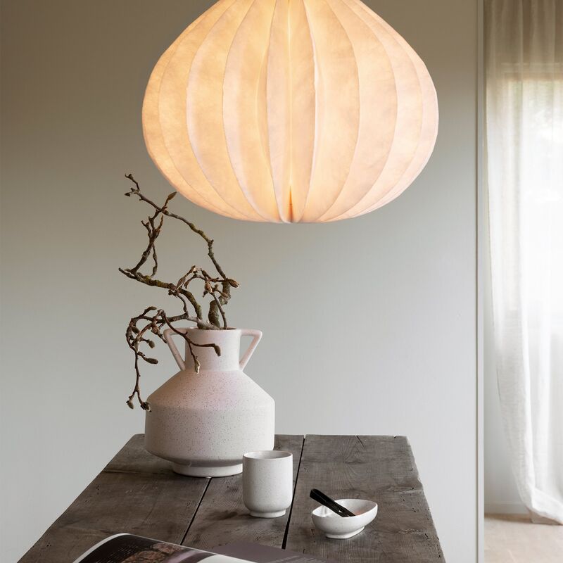 Onion kattovalaisin, valkoinen