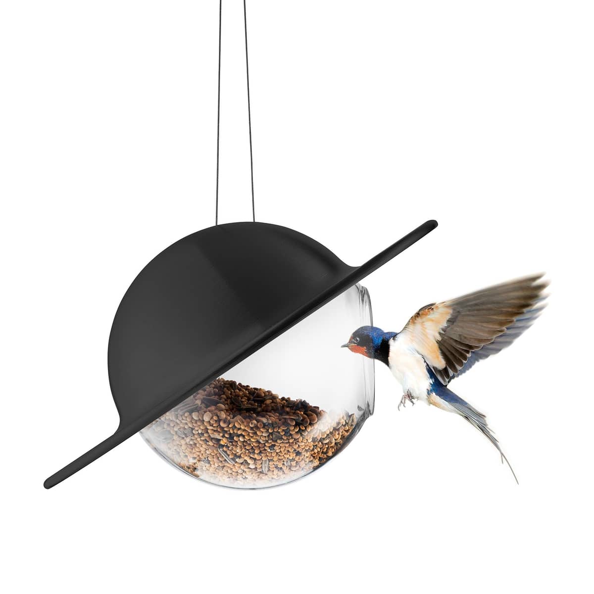 Saturn fågelmatare, svart