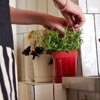 Elise kruka 13 cm, vinröd