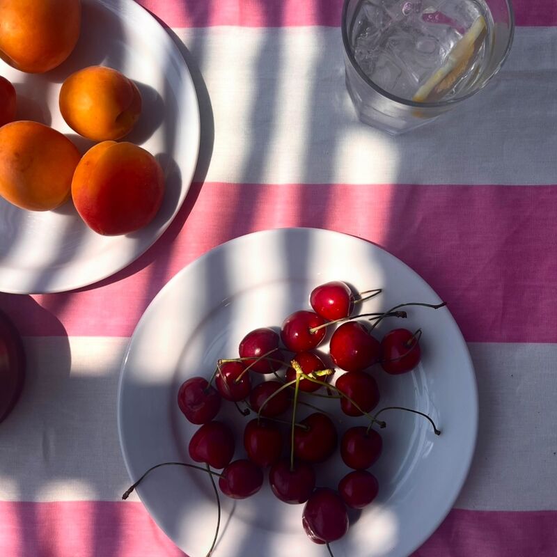 Gaia bordsduk 250x145 cm, rosa/vit