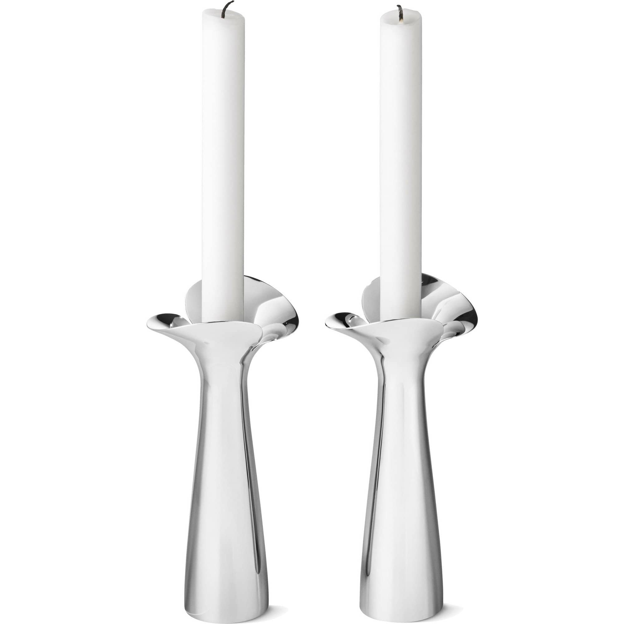 Bloom Botanica Lysestager Stk