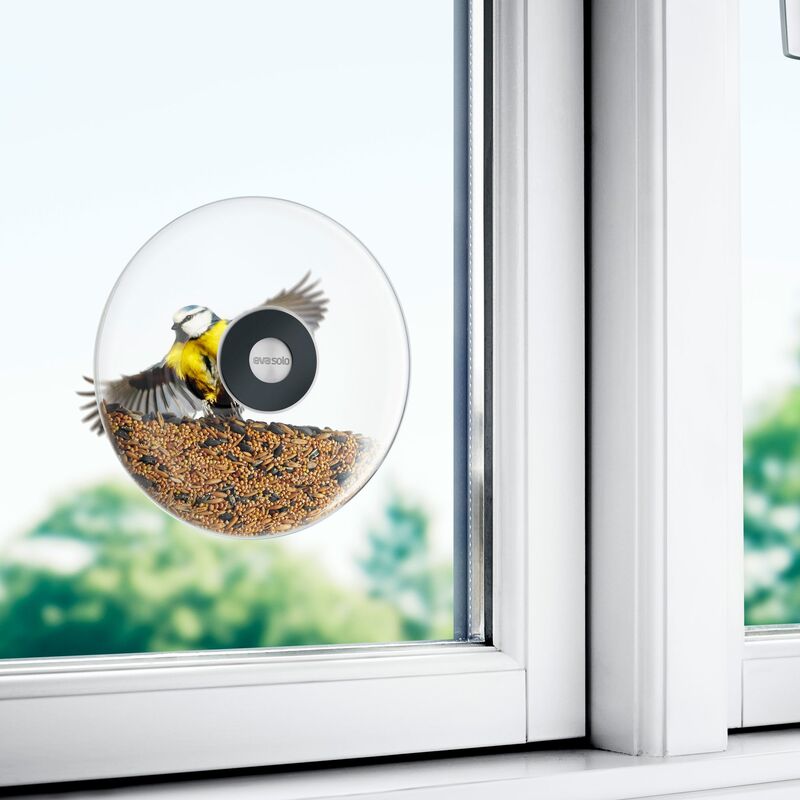 Ikkunaan kiinnitettävä ruokintapallo, iso