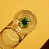 New Friends Glas Groda