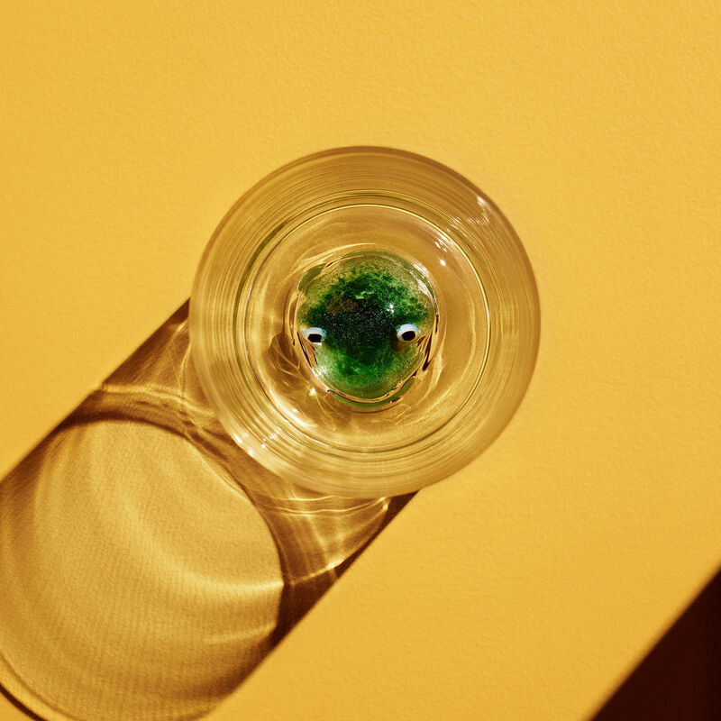 New Friends Glas Frø