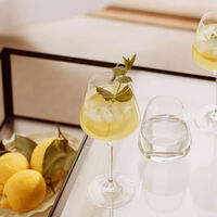 Legio Nova drikkeglass 50 cl