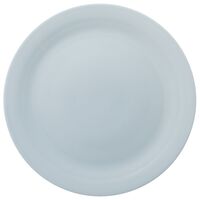 Mainio tallerken 25 cm, vinterblå