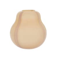 Kojo vas 20 cm, rose