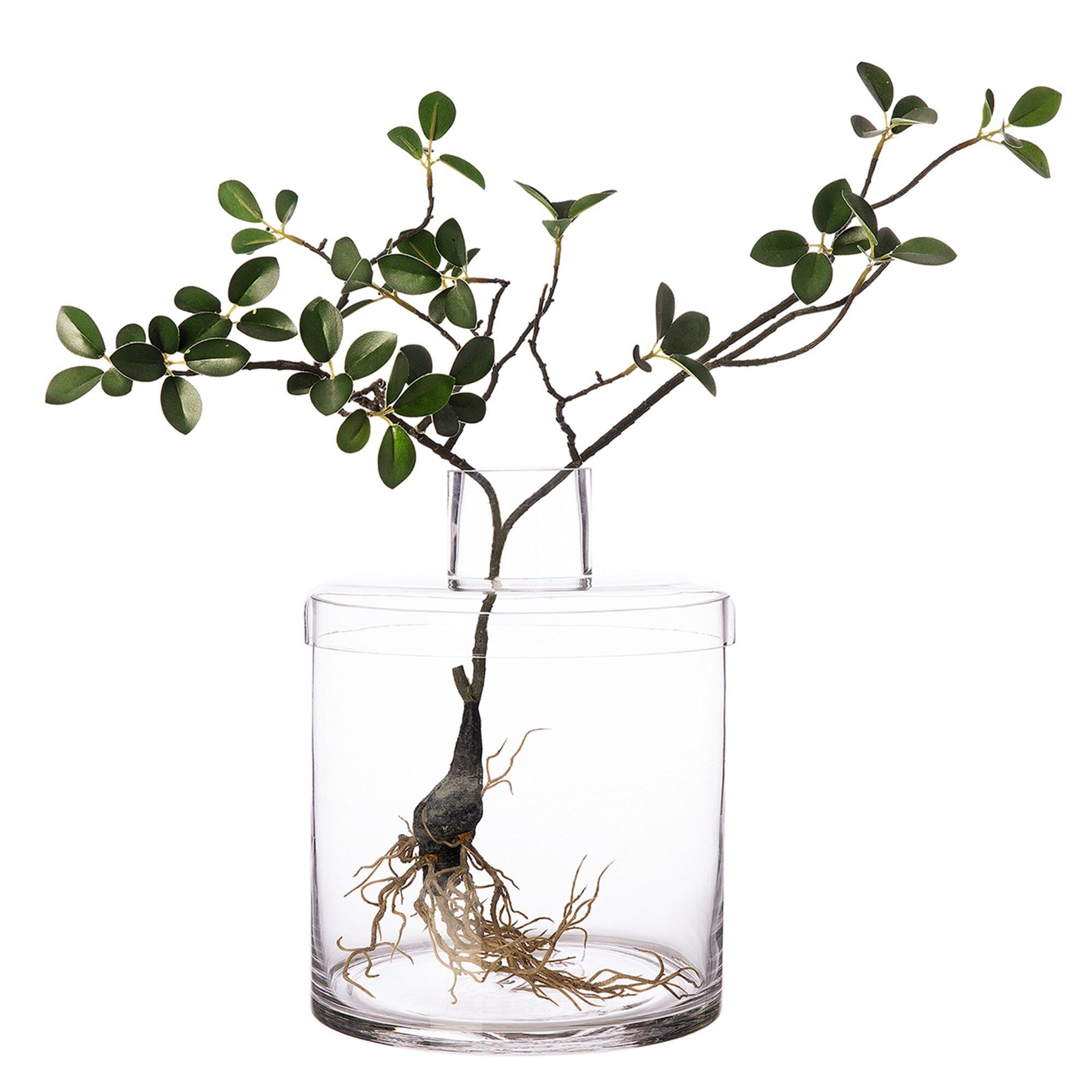 Glasvase med låg, 21 cm