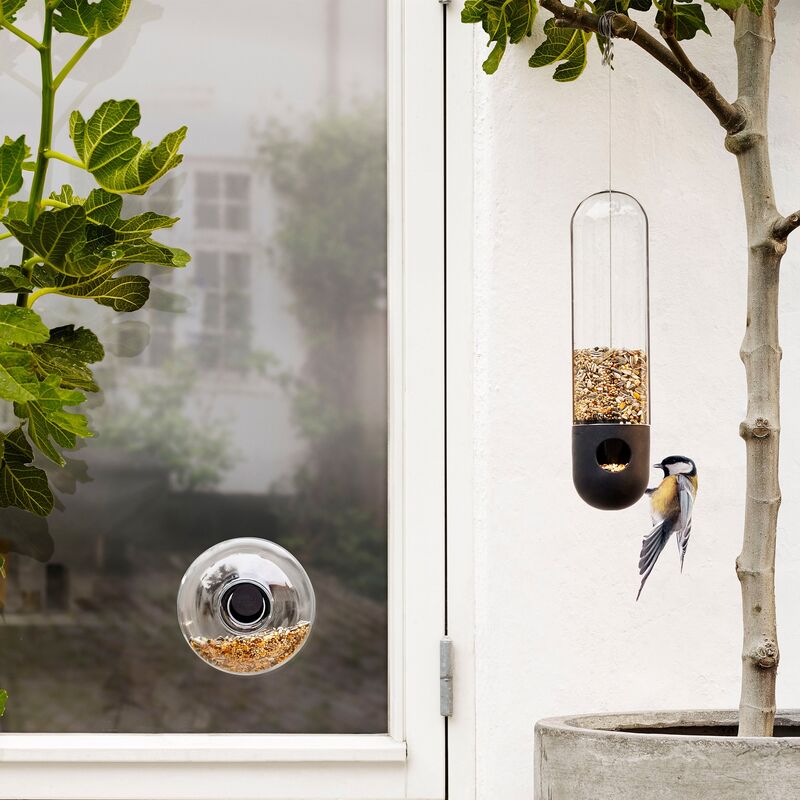 Ruokintaputki linnuille