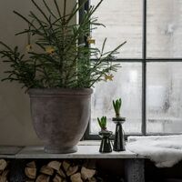 Lökvas 16 cm, mörkgrön