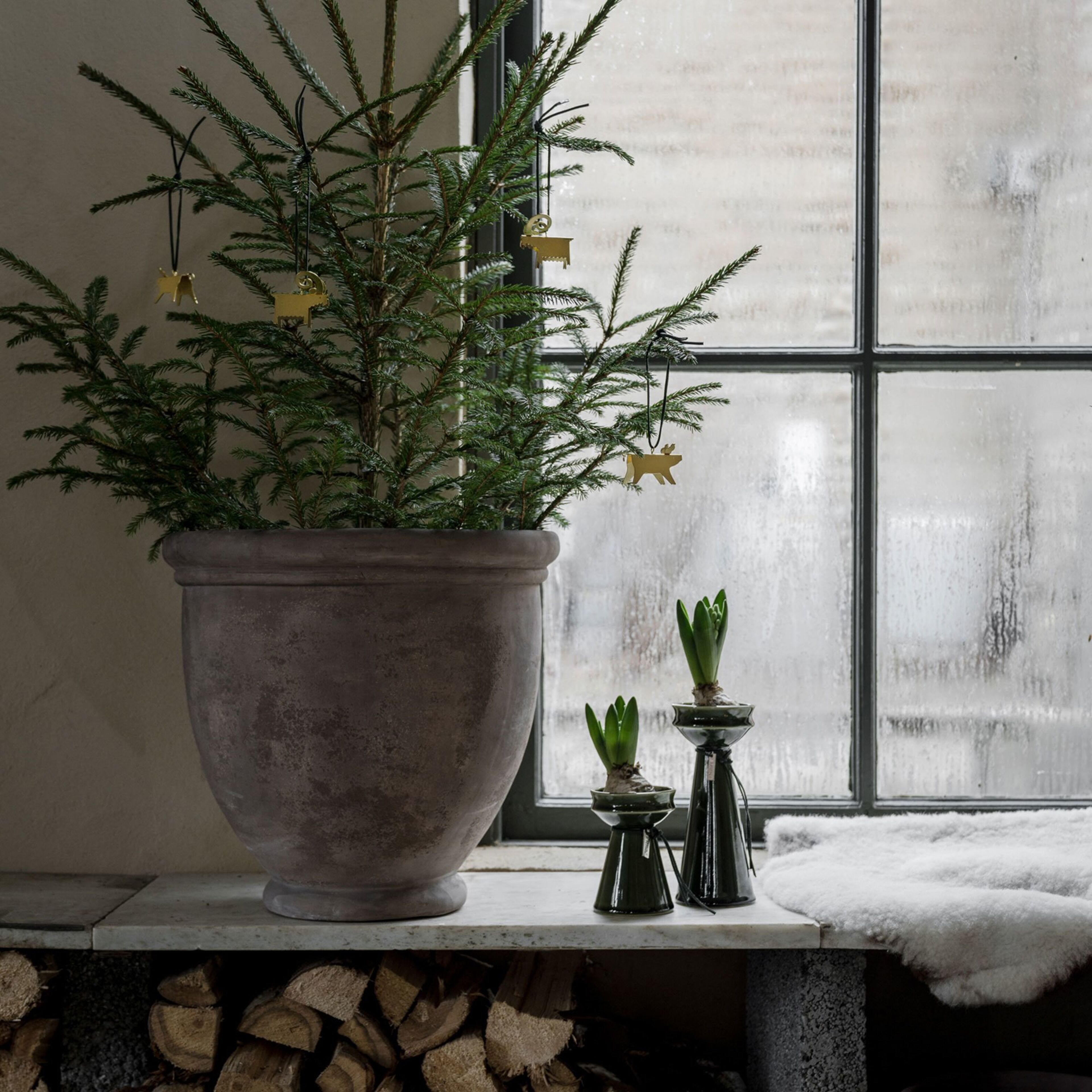 ernst-270764-63127-3