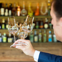 Bar Tumbler Akvavit, snapsilasit 4 kpl