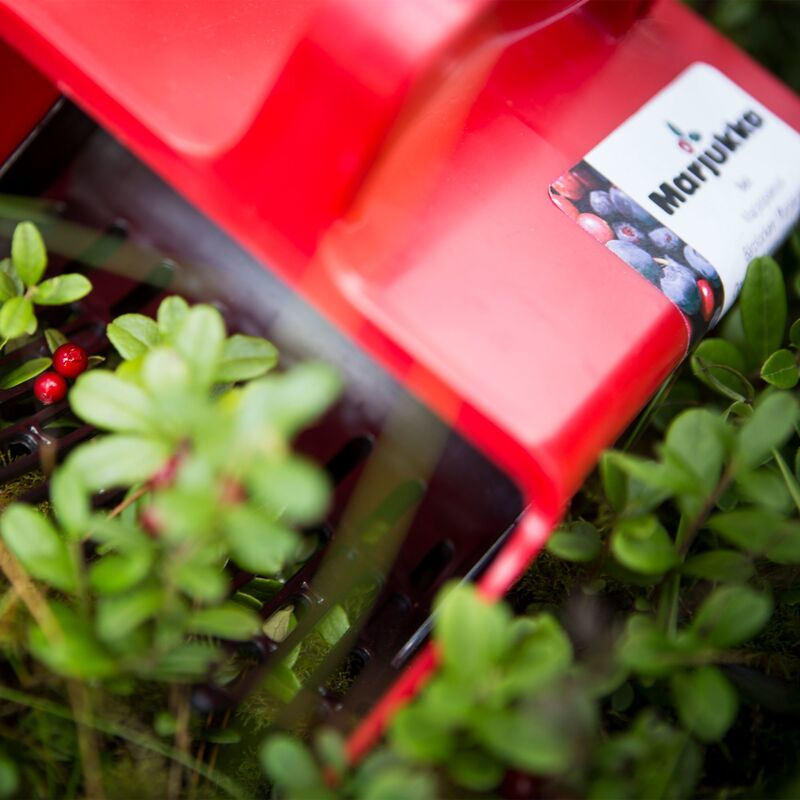 Basic bärplockare med plastgaller