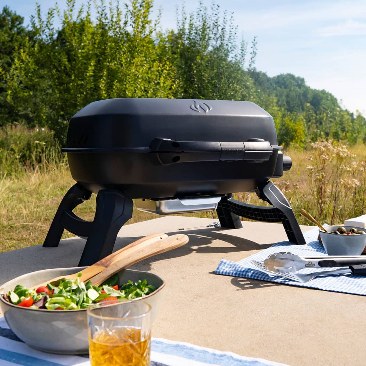 TQ240 portabel gasolgrill