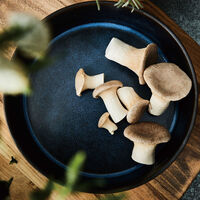 Syvä RAW-lautanen, kivitavaraa, 20 cm, tummansininen