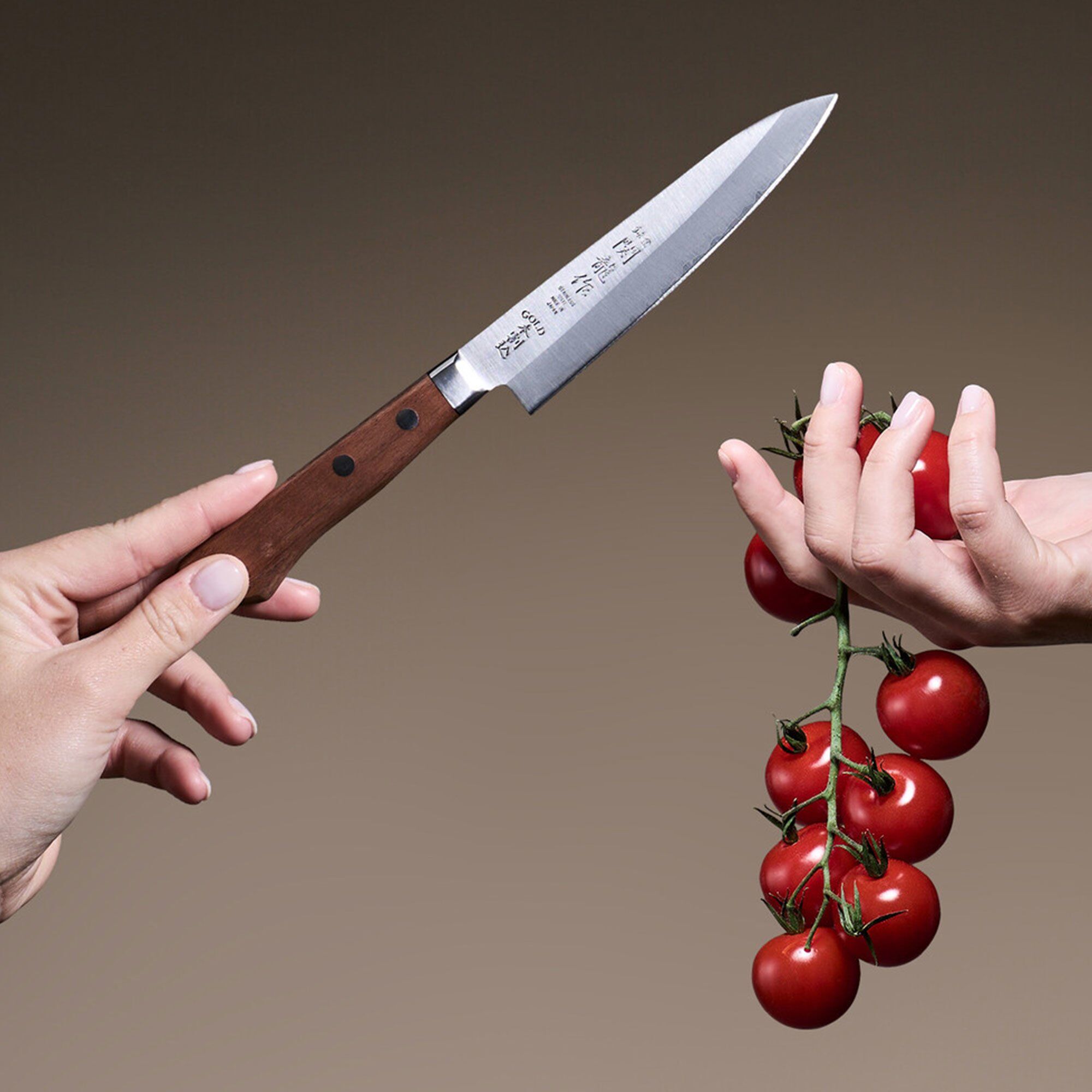 Alternativ bild 1 för Sekiryu - Wood grönsakskniv 12 cm silver