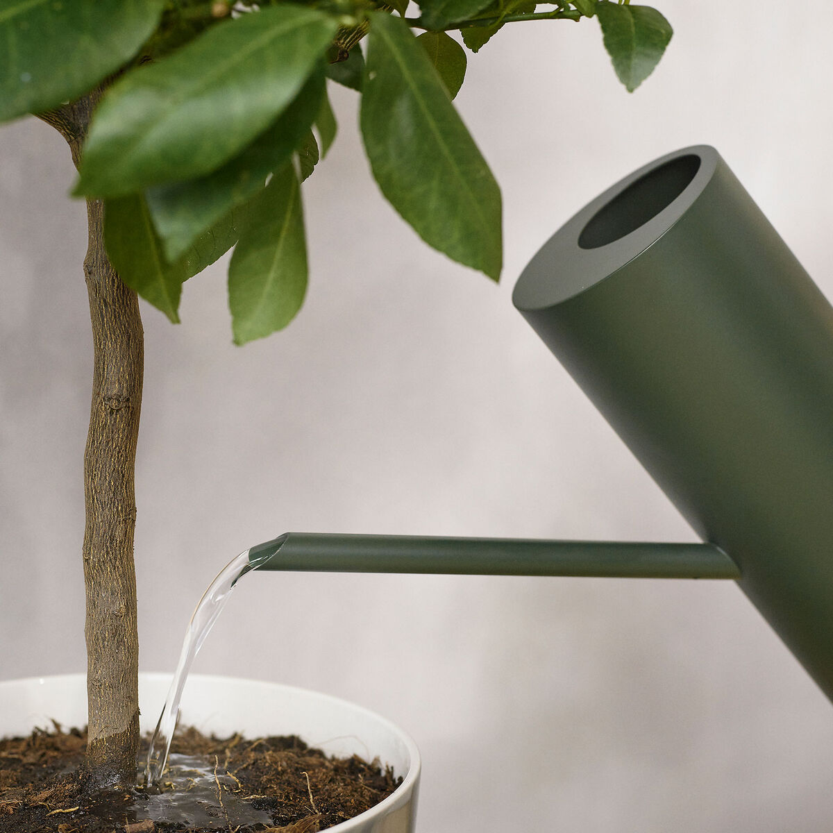 Bloom vattenkanna 2 liter, pine