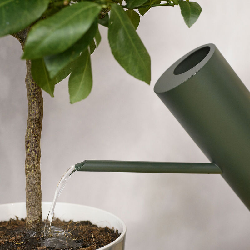 Bloom vannkanne 2 liter, pine