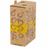 Bag In Box-påse med kran 3 liter 4-pack