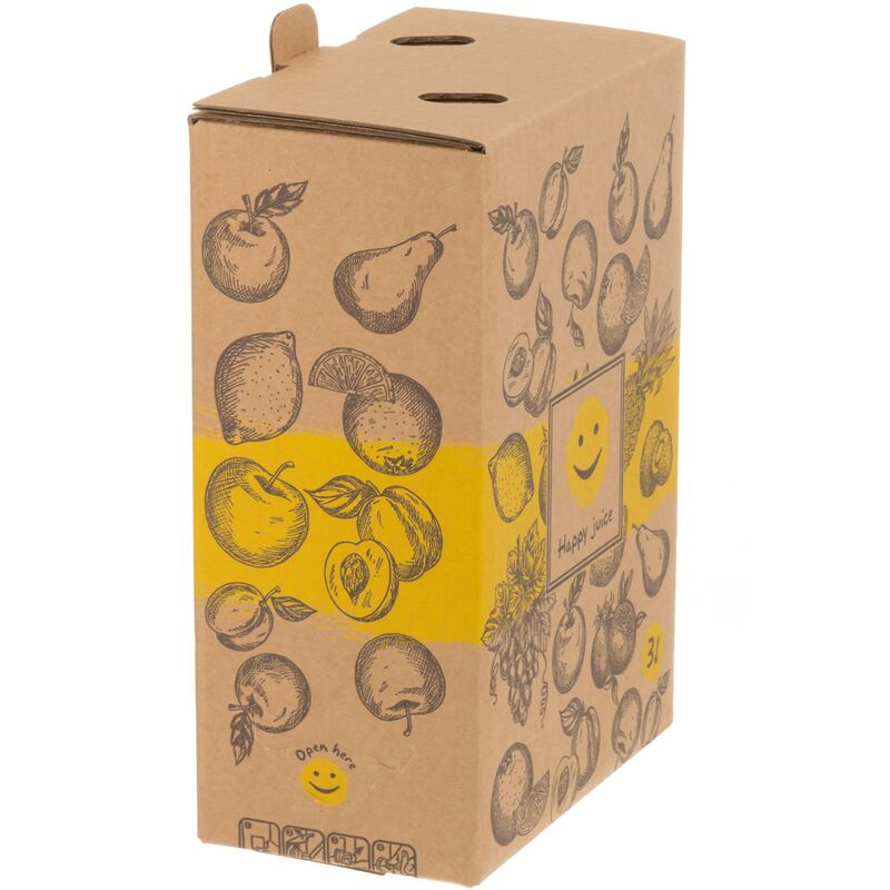 Bag In Box -pussi hanalla 3 litraa, 4-pakkaus