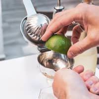 Citruspress, rostfritt stål