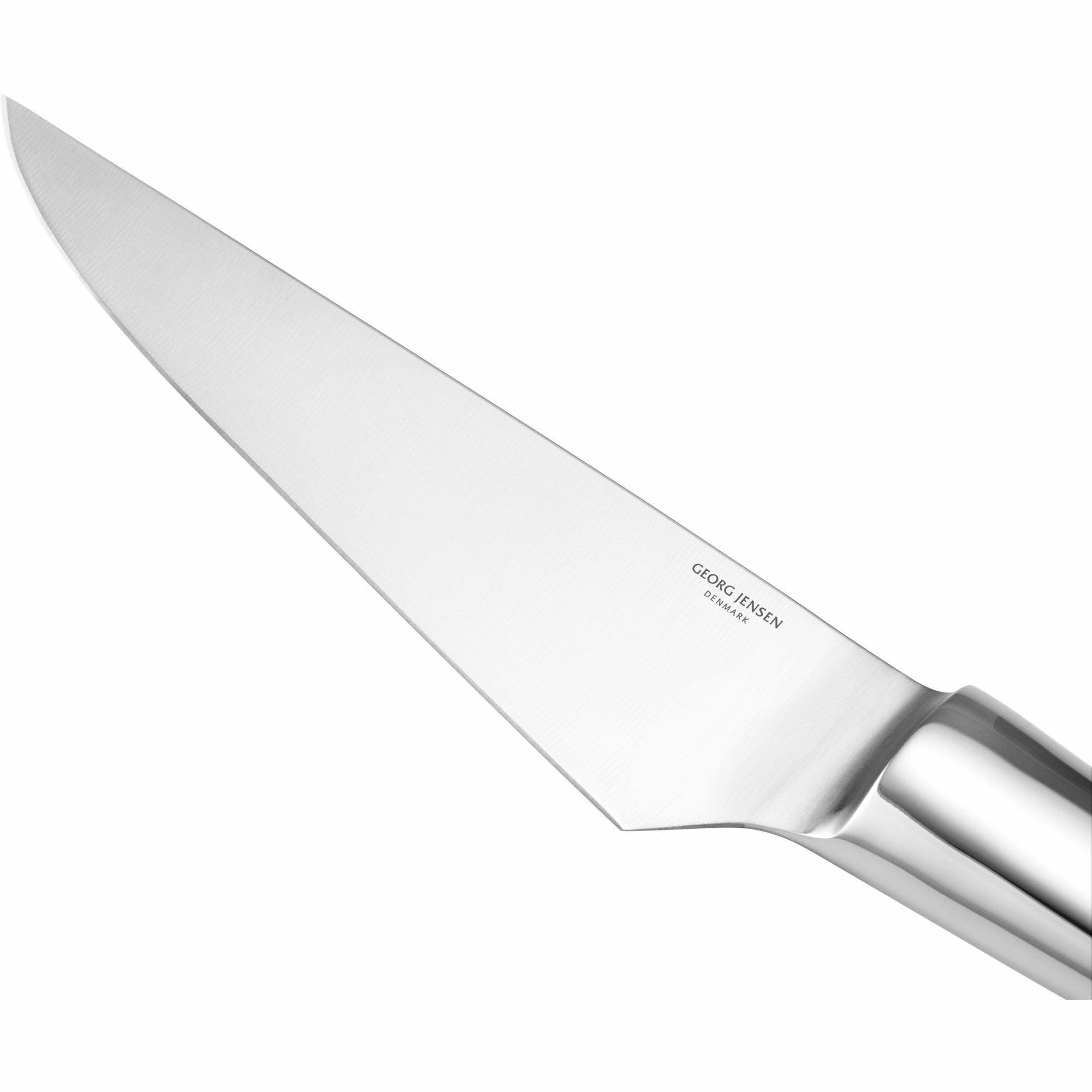 Alternativ bild 1 för Georg Jensen Sky kockkniv