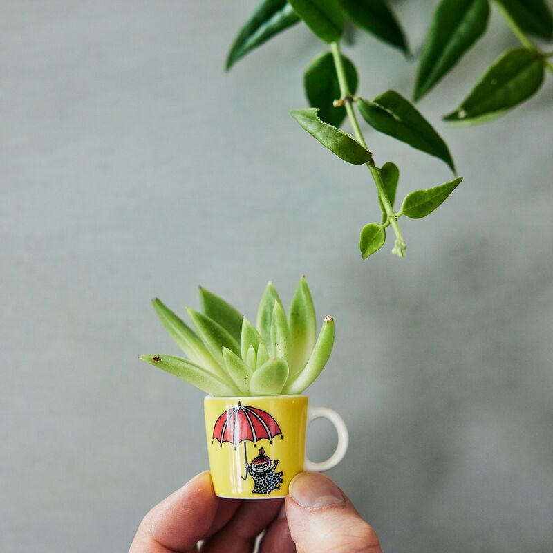 Muumi minimukit 3. Klassikot, 6 kpl