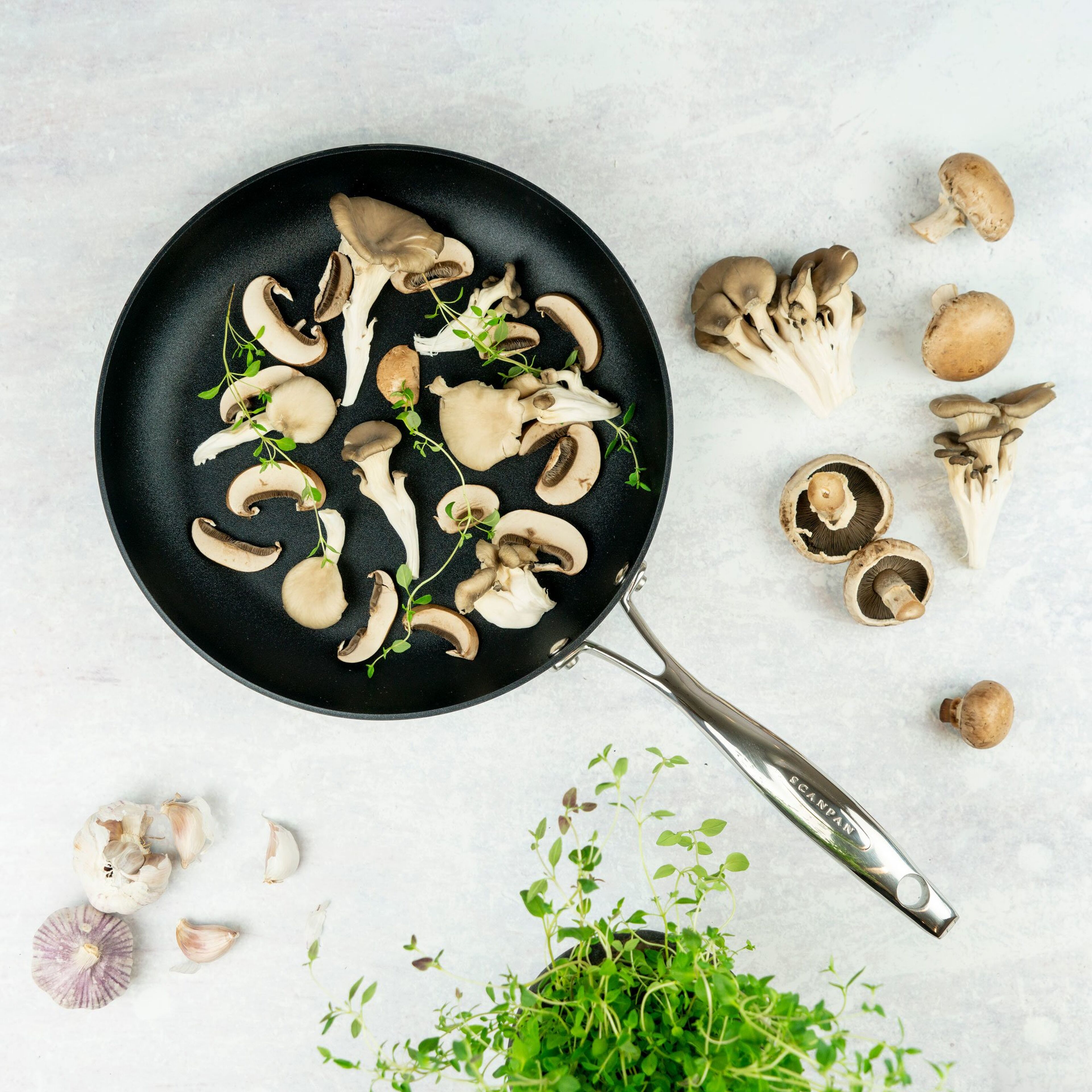 scanpan-haptiq-stekpanna-sp-6001002803-44715-5