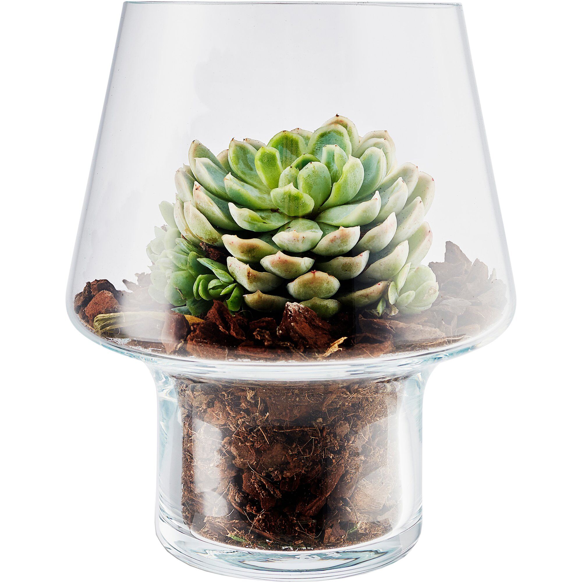 Alternativ bild 1 för Eva Solo Glasvas Suckulenter Ø15 cm.