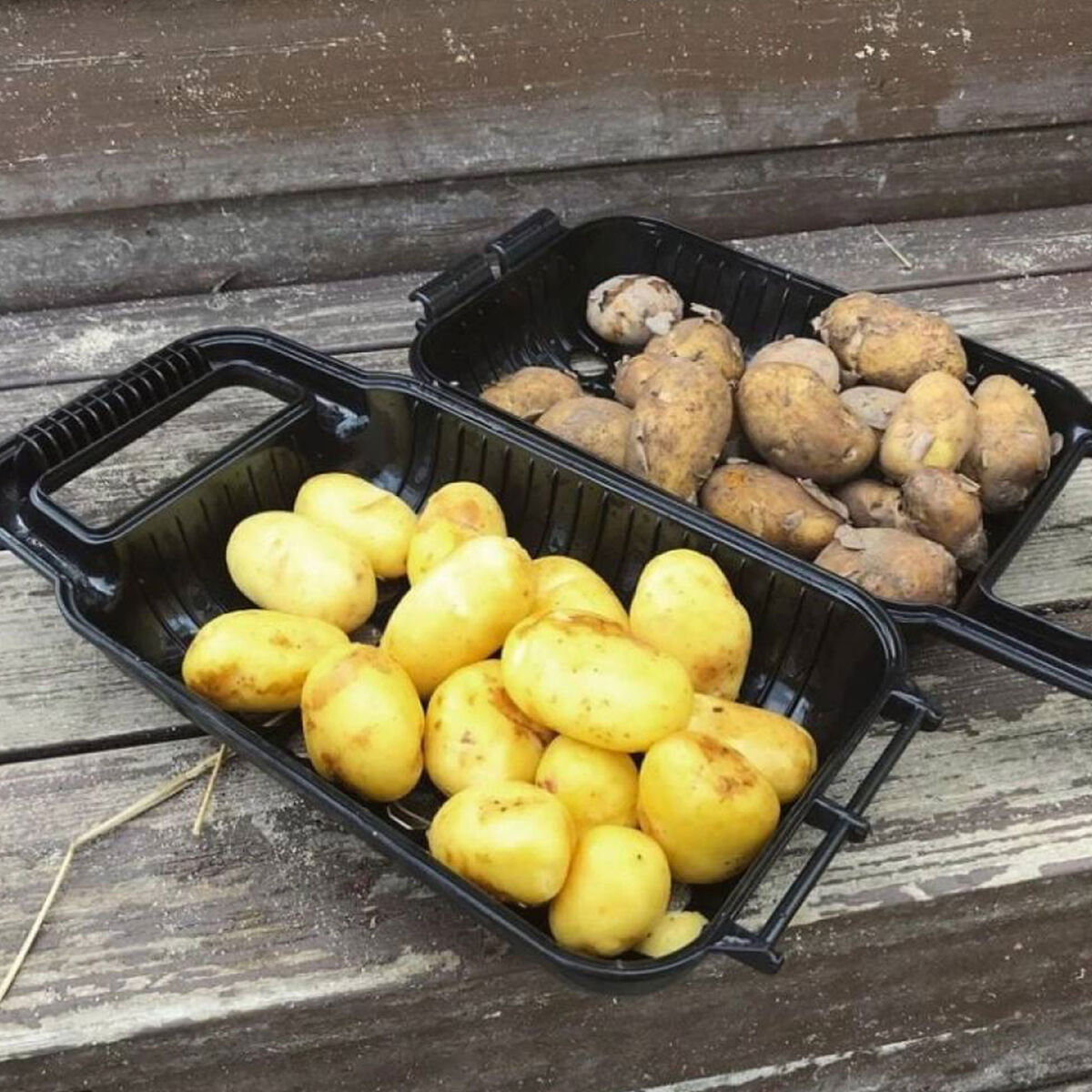 Potturi potatisskrubb