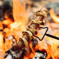 Uttrekkbar grillpinne
