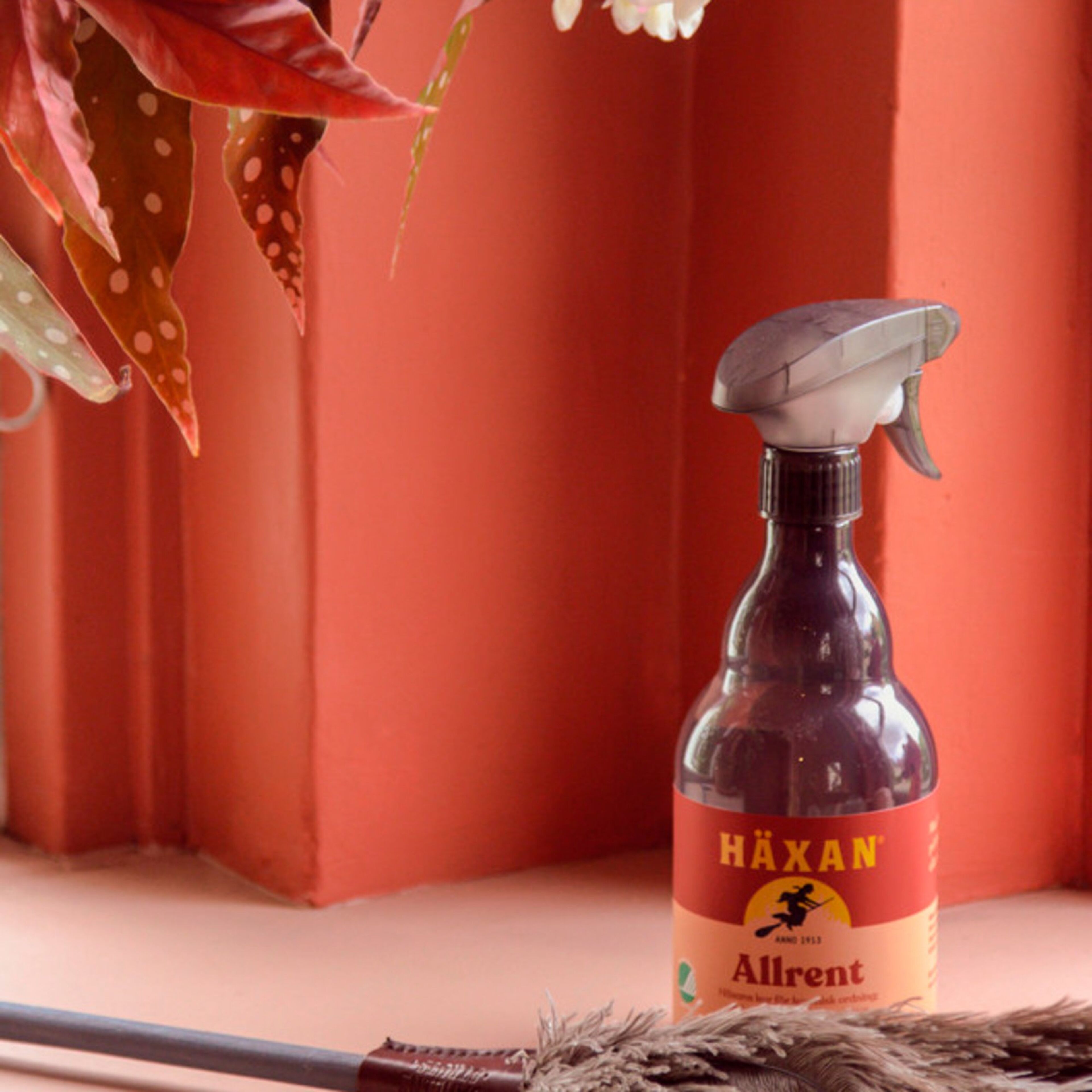 haexan-hax1257893-53170-2