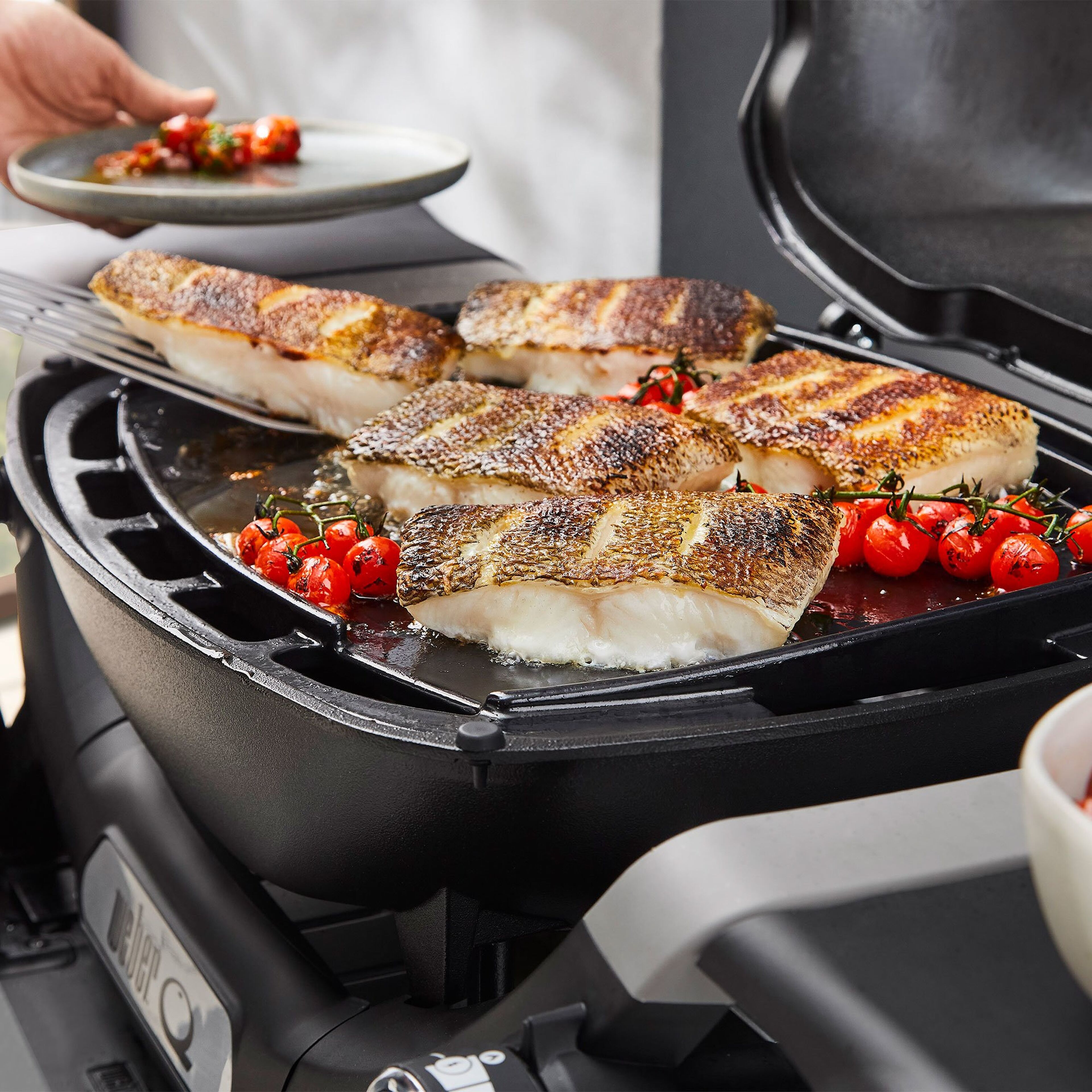 weber-3400866-66860-5