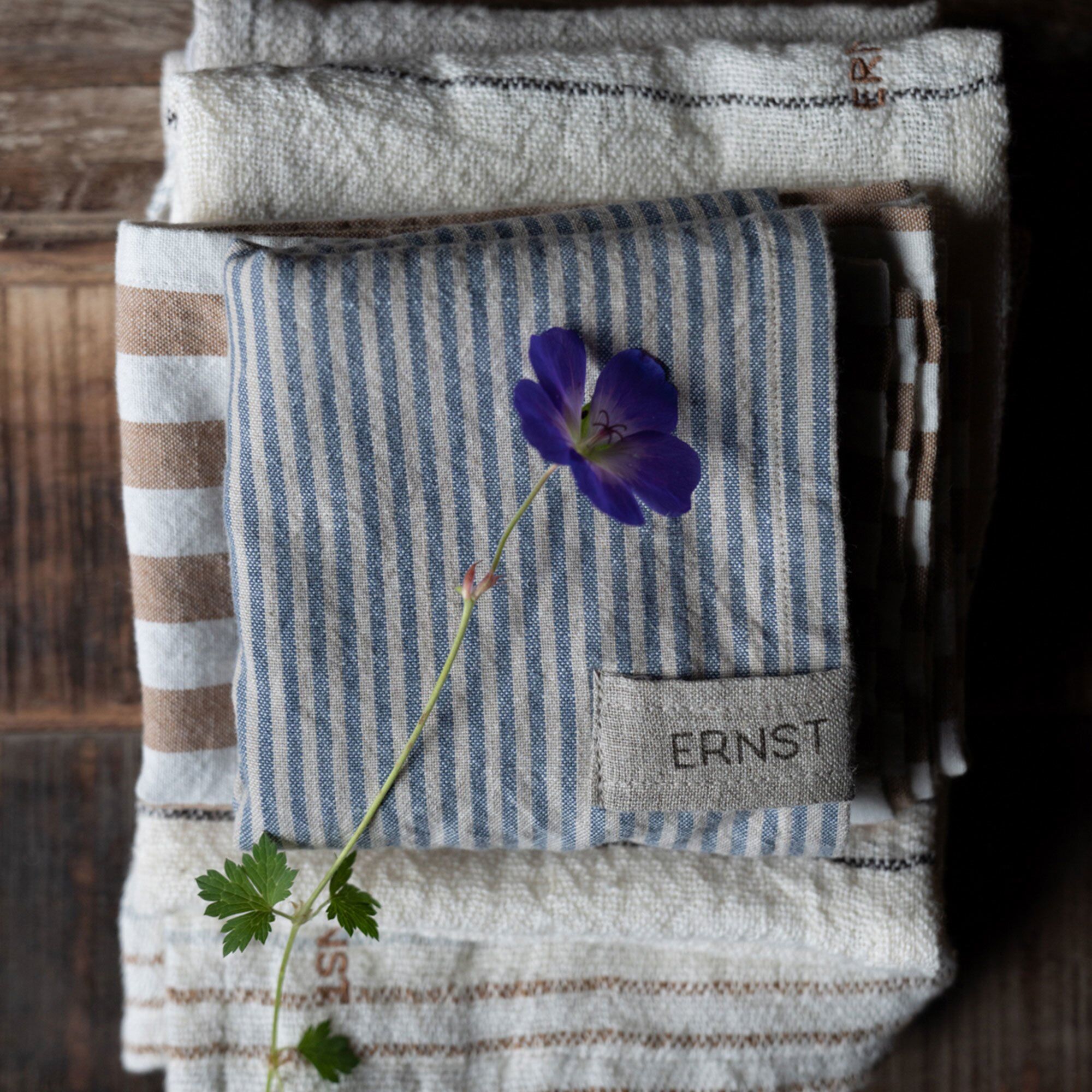 ernst-117540-67272-2