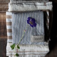 Viskestykke stribet 47x70 cm, blå/beige