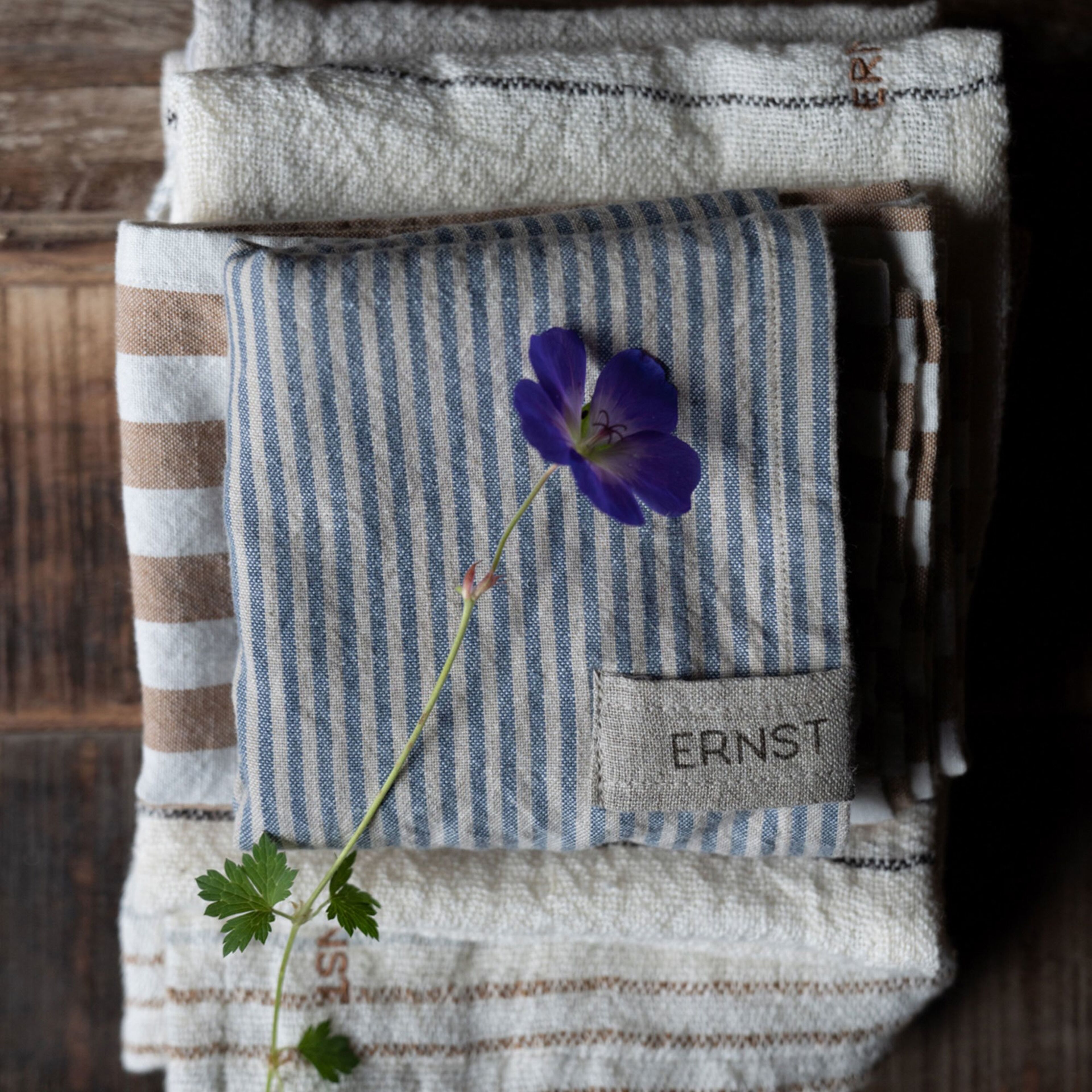 ernst-117540-67272-2