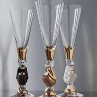 Nobel The sparkling devil -samppanjalasi, 19 cl, tummanharmaa