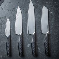 Fiskars Santokukniv Taiten 16cm