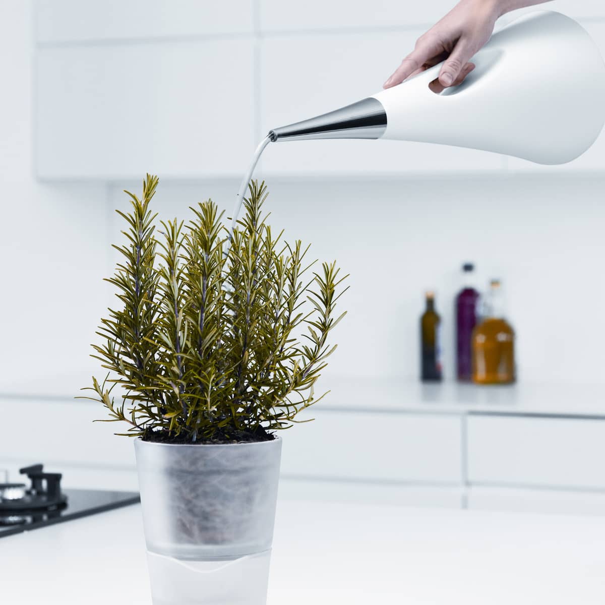 AquaStar Vattenkanna Vit