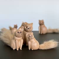 My Kitty av ek, Medium