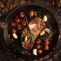 Forge stegepande/grillpande 24 cm, kulstofstål