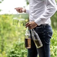 Vervino Chardonnay valkoviinilasi 48 cl, 2 kpl