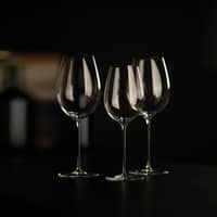 Enoteca Chardonnay vitvinsglas 41 cl, 2-pack