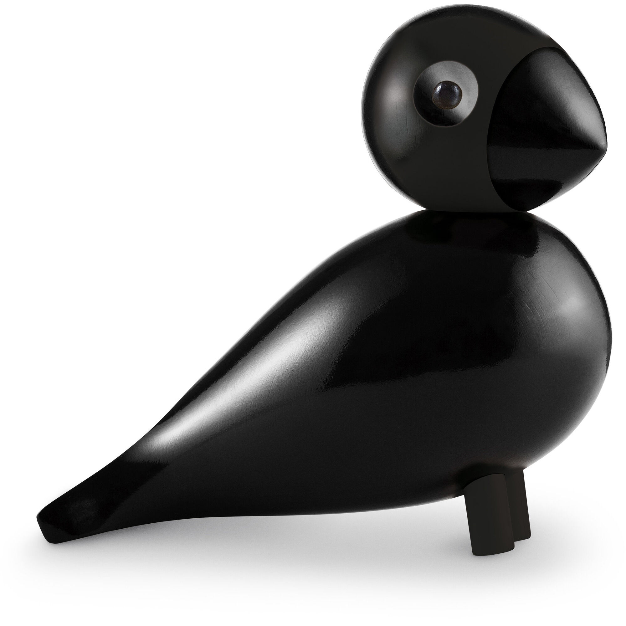 Sångfågel Ravn
