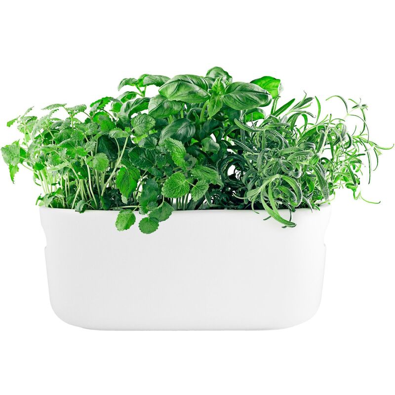 Selvvannende Herb Organiser Hvit
