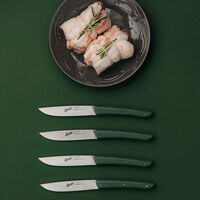 Steakkniv 4 stk, olivengrøn