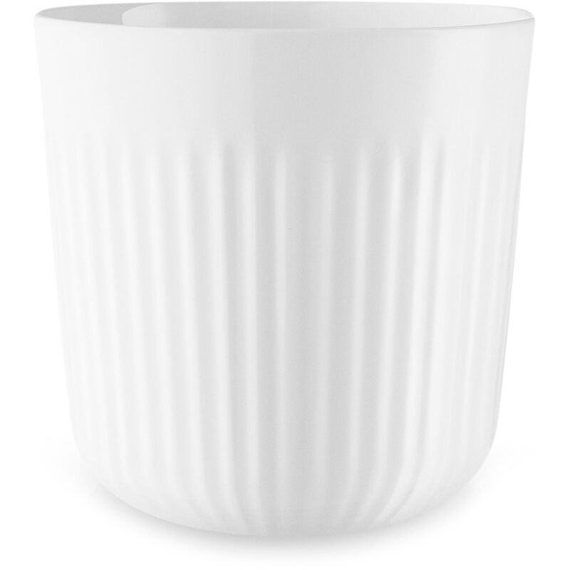 Termokrus Legio Nova 25 cl.