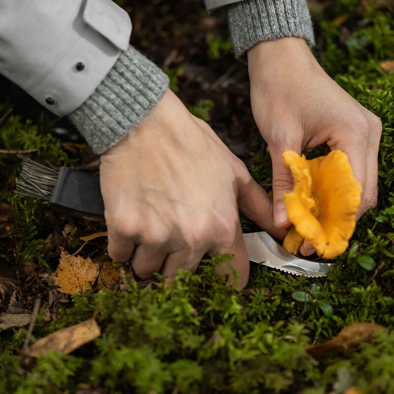 Svampkniv med borste